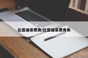 比亚迪宋费用/比亚迪宋费用表