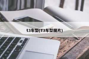 t3车型(T3车型图片)