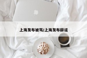 上海发布被骂/上海发布辟谣